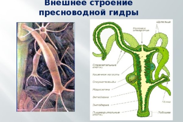 Кракен сайт kr2web in цены