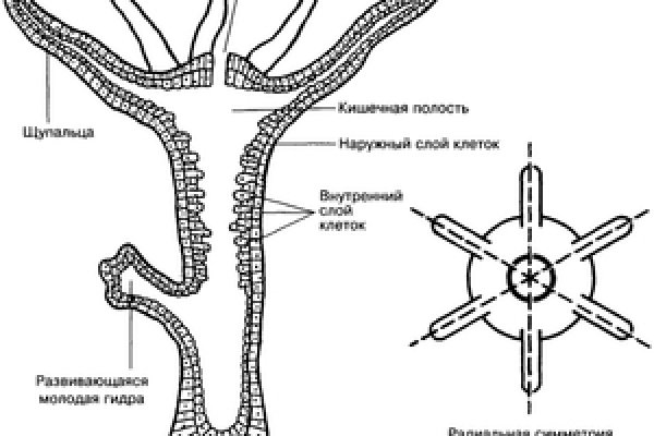 Кракен ссылка на тор официальная